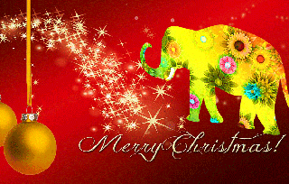 As Christmas approaches, beware of elephants,