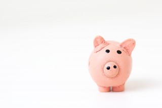 How does the cost of a celebrant fit in with your budget?