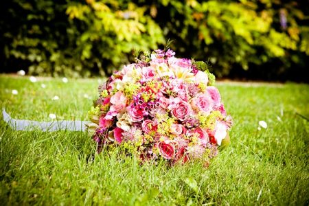 flowers 260891 640