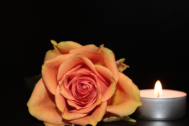 rose-1273730_640.jpg