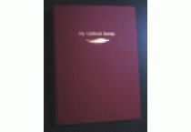 Hand made albums- the original and best