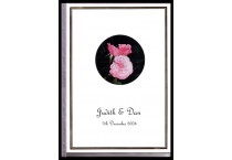 Plastic display albums (clear)