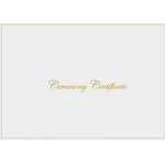 A4 White & Shiny Gold Ceremony envelope - No Rings - 8 pack