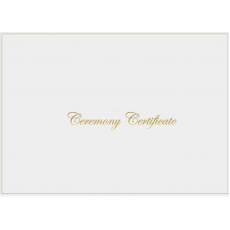A4 White & Shiny Gold Ceremony envelope - No Rings - 8 pack