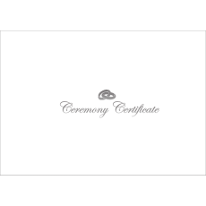 A4 White & Shiny Silver Ceremony envelope - With Rings - 8 pack
